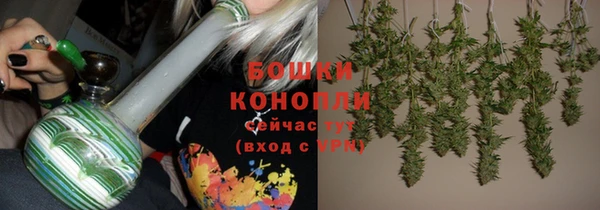ГАЛЛЮЦИНОГЕННЫЕ ГРИБЫ Богородск