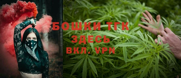 ГАЛЛЮЦИНОГЕННЫЕ ГРИБЫ Богородск