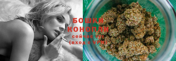 ГАЛЛЮЦИНОГЕННЫЕ ГРИБЫ Богородск