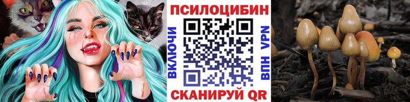 даркнет какой сайт  Волжский  Псилоцибиновые грибы ЛСД 